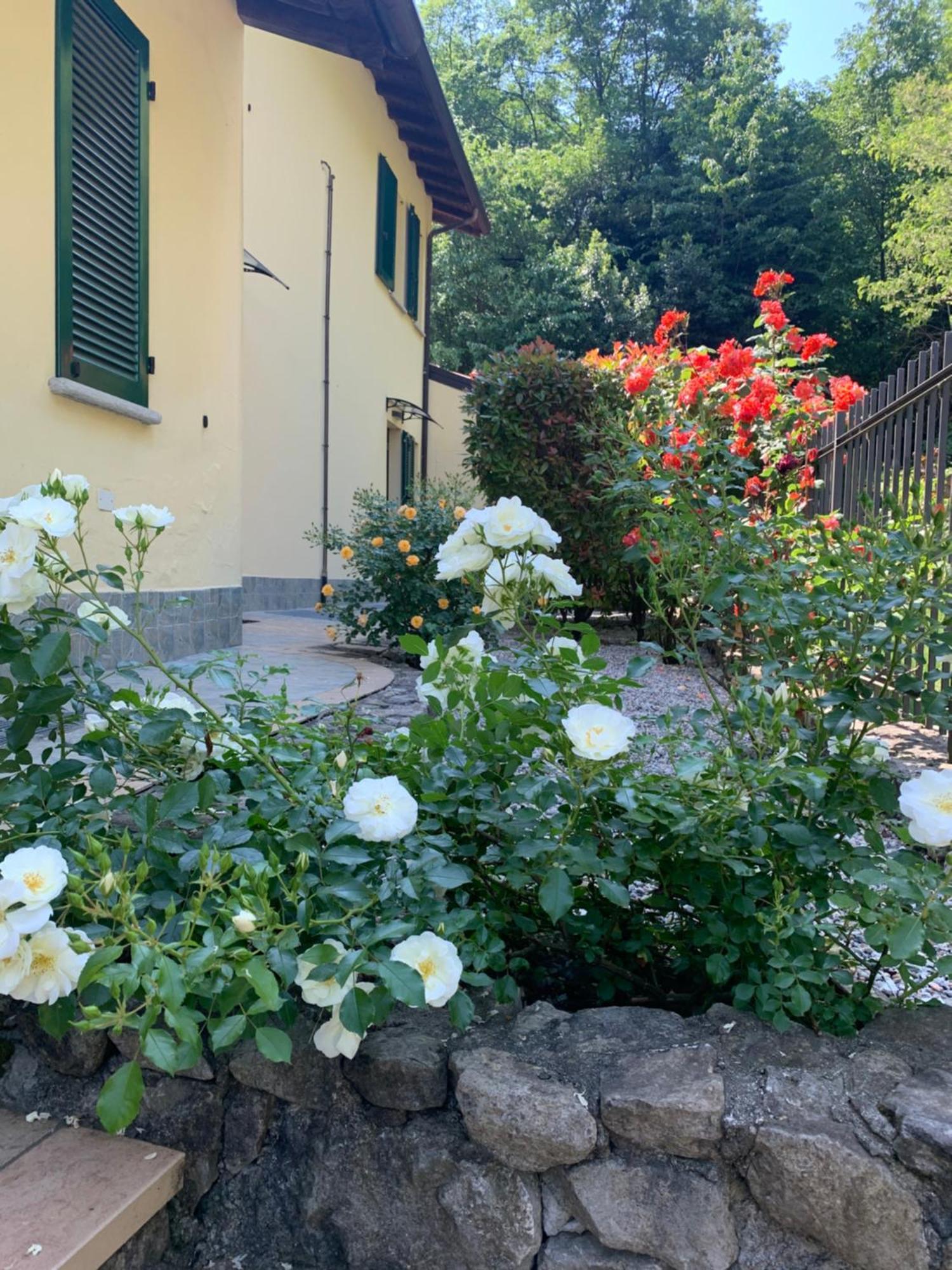 Villa Oliveto Apartments Oliveto Lario Buitenkant foto